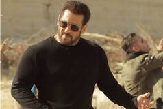 Tiger 3 Box Office Collection Day 11:  Salman Khan's Actioner Faces Downfall - Check Detailed Analysis