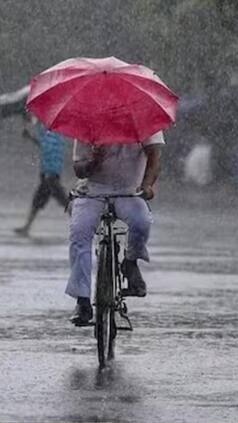 Weather Update: Heavy Rain in Tamil Nadu Till Friday