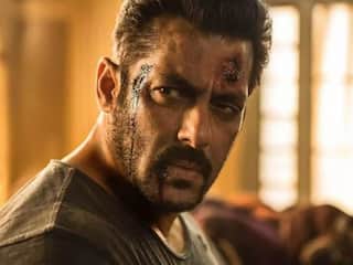 Tiger 3 Success: Salman Khan-Katrina Kaif's Actioner Collects Rs 240 Crore at Global Box Office