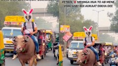Viral Video: पेट्रोल महंगा होने से परेशान शख्स ने अपनाया देसी जुगाड़, भैंस लेकर सड़क पर उतरा