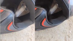 Snake Cobra Viral Video: हेलमेट में छिपा कोबरा, फन फैलाकर किया हमला, वीडियो देखकर रोंगटे खड़े