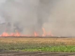 पाबंदियों के बावजूद मोगा-लुधियाना में पराली जलाने का सिलसिला जारी, कृषि विभाग ने दी चेतावनी 