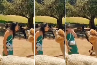 Ladki Ka Video: जानवर को पुचकारने पहुंची थी लड़की, मगर जो हुआ सोच-सोचकर हंसेंगे | Watch Funny Video