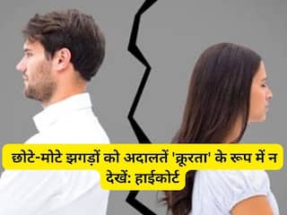 पति-पत्नी के बीच होने वाले छोटे-मोटे झगड़ों को अदालतें 'क्रूरता' के रूप में न देखें, इलाहाबाद हाईकोर्ट की अहम टिप्पणी