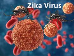 2 Pregnant Women Test Positive For Zika Virus In Pune, Tally Rises To 6