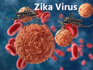 महाराष्ट्र में Zika Virus के मामले सामने आने के बाद स्वास्थ्य मंत्रालय अलर्ट, सभी राज्यों को जारी की एडवाइजरी- दी यह सलाह