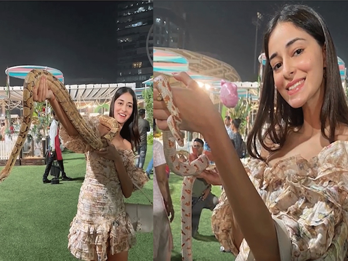 शाहरुख के बाद सांपों से खेलती नजर आईं Shanaya-Ananya, तस्वीरें देखकर आप भी रह जाएंगे दंग!