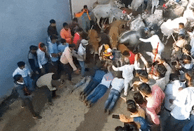 india.com top news