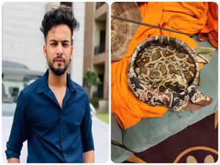 Elvish Yadav हो सकते हैं गिरफ्तार, बीजेपी सांसद ने जल्द अरेस्ट करने की मांग की; तलाश में जुटी पुलिस