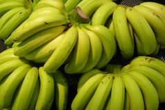 Weight Loss with Green Bananas: 6 Ways How Kela May Help Burn Calories