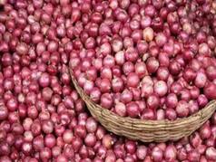 Onion price shock: Retail prices surge 59% across India; Wholesale rates up 68%; check city-wise prices in Delhi, Chennai and Kolkata