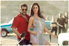 Tiger 3 Advance Booking: Salman-Katrina's Actioner Gets Morning Shows
