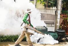 What Causes Zika Virus And What Are The Treatment Options Available in India? 5 Points