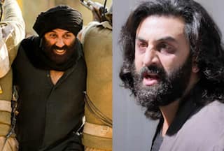 Animal Beats Gadar 2 at Domestic Box Office on Day 20: Ranbir's Film Surpasses Sunny's Rs 525 Crore Before Dunki Release