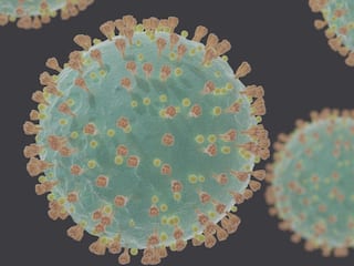 Covid Cases Rising In India AGAIN, Here   s What We Know So Far About  JN.1  Subvariant