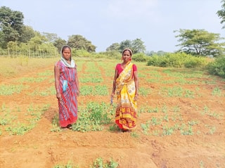 Mariyam Tudu, Woman Farmer From Jharkhand, Changes Lives Of Women In Her Village, Here's How | EXCLUSIVE