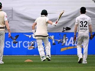 बीच मैच में कबूतर क्यों उड़ाने लगे हसन अली और मार्नस लाबुशेन, देखें VIDEO