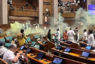 Lok Sabha Security Breach: Visitors Barred Entry Inside Parliament Complex