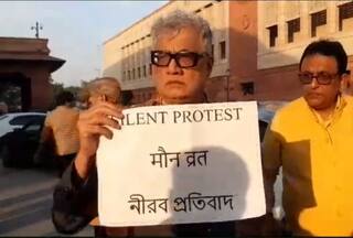 Video: TMC MP Derek O'Brien Observes Silent Protest Outside Parliament Against Suspension