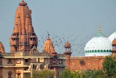 Krishna Janmabhoomi Dispute: Allahabad High Court Rejects Muslim Side's Petition; Says Cases Maintainable