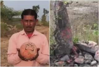 'Sacred Stone Balls' Worshipped As 'Kuldevtas' In MP Village Are Dinosaur Eggs