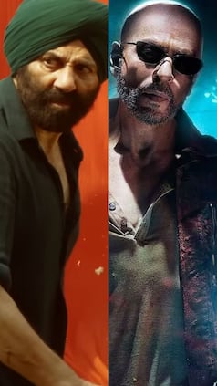 10 Highest-Grossing Bollywood Movies of 2023