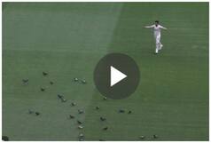 PAK vs AUS, 2nd Test: Marnus Labuschagne, Hasan Ali Try To Shoo Away Pigeons From MCG  |  WATCH  VIDEO