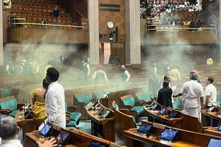 Lok Sabha Security Breach: Opposition Demands Investigation Over Security Failure On Terrorist Attack Anniversary