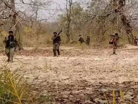 india.com top news