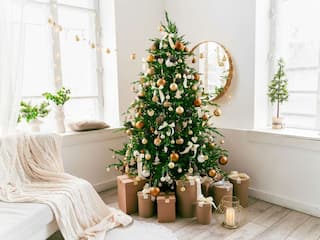 Merry Christmas Wishes, Quotes, SMS, Shayari: क्रिसमस के मौके पर परिवार और दोस्तों को दें शुभकामनाएं, भेजें ये प्यार भरे मैसेजेस, शायरी और कोट्स
