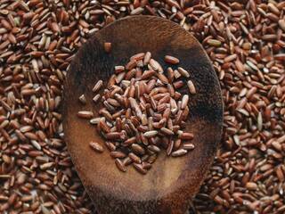 वजन घटाने के लिए चावल की ये 5 किस्में हैं फायदेमंद