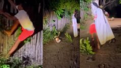 Viral Video Today: अंधेरा होते ही शुरू किया भूतिया प्रैंक, फिर जो दिखा हंसी नहीं रोक पाएंगे | देखें वीडियो