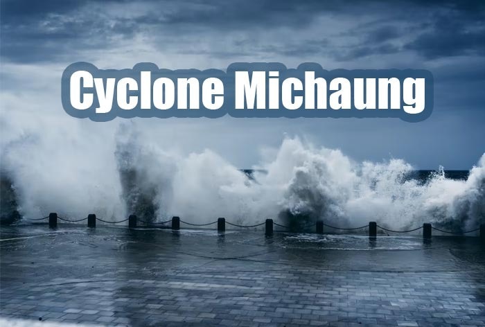 Public Holiday Declared in Tamil Nadu Due to Cyclone Michaung