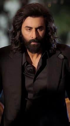 एनिमल से पहले 'ए' सर्टिफिकेट वाली इन फिल्मों ने बॉक्स ऑफिस पर उड़ाया गर्दा, देखें लिस्ट