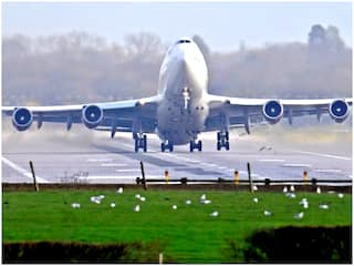 कोहरे से खराब हुई विजिबिलिटी, फ्लाइट्स डायवर्ट-ट्रेनें लेट और कई जगहों पर स्कूल बंद