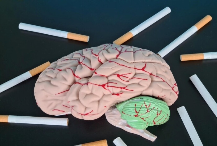 does smoking cigarettes cause brain damage Not Just Lungs, Smoking Can Lead to Brain Damage, Says Study