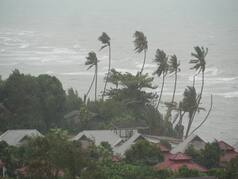 Cyclone Michaung: Tamil Nadu Class 12 Half-Yearly Exams Postponed; Revised Dates Here