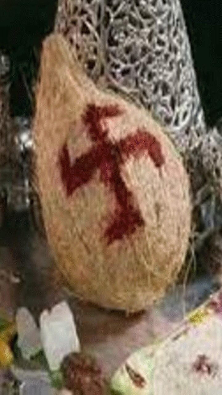 Nariyal Ke Totke: झमाझम बरसेगा पैसा, तिजोरी में रख लें एकाक्षी नारियल?