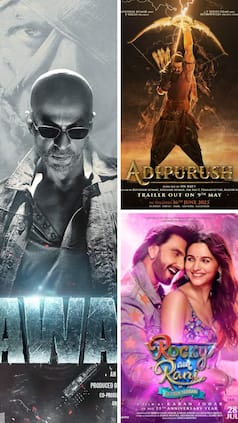 Animal to Jawan, 7 Highest Grossing Hindi Movies of 2023