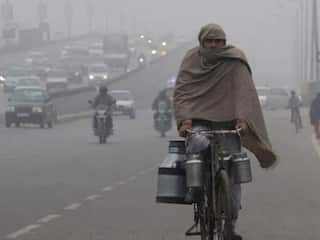 Weather Update: दिल्ली, पंजाब, हरियाणा समेत पूरे उत्तर भारत में कड़ाके की ठंड, कोहरे का सितम जारी
