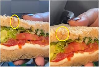 Live WORM In Sandwich: Watch Woman Passenger Shares Her 'Worst Experience' With Indigo Flight | Video Is Viral