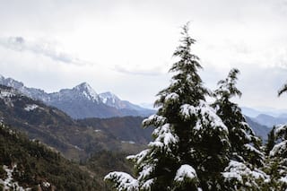 Uttarakhand Travel Diaries: From Dawn To Dusk At Dhanaulti, A 3 Day Itinerary To Explore the Hill Station