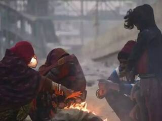 Delhi Weather: Icy Mornings In National Capital To Continue With Dense Fog, Here's What IMD Forecast Says