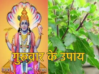 Guruwar Ke Upay: तुलसी का यह उपाय चुटकियों में बना सकता है अमीर, आर्थिक संकट से मिलेगा छुटकारा