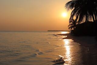 Planning A Getaway To Lakshadweep? Here Are 7 Things You Should NOT Miss