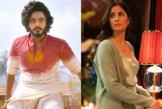 Merry Christmas Gets Stuck in Hanuman Wave at Box Office, Records a Dismal Monday - Check Day 4 Collection Report