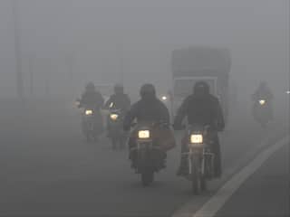 Cold Wave: Dense Fog To Engulf Delhi On Friday Morning, IMD Issues Yellow Alert