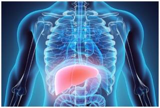 सामान्य रक्त कैंसर का कारण बन सकते हैं हेपेटाइटिस-बी और सी वायरस : शोध