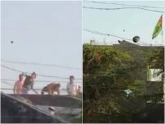 Communal Flare-Up In Gujarat's Mehsana After Stones Hurled At Lord Ram 'Shobha Yatra'