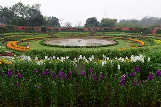 Rashtrapati Bhavan's Amrit Udyan To Open For Public From This Date